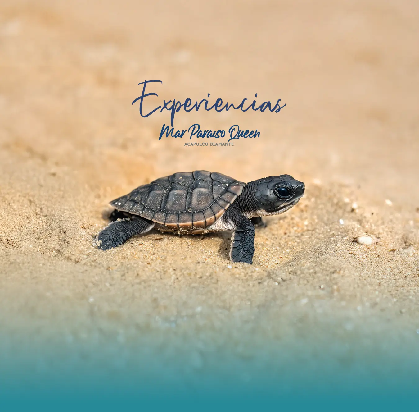 Experiencias Mar Paraiso Queen Acapulco Diamante