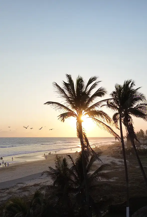 Palapa de eventos Mar Paraiso Queen Acapulco Diamante
